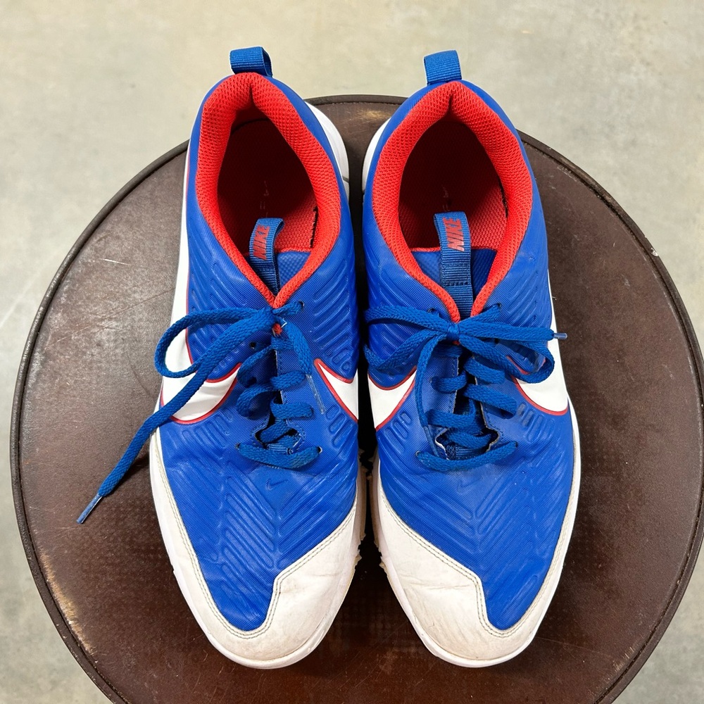Nike Blue and Red Athletic Shoes